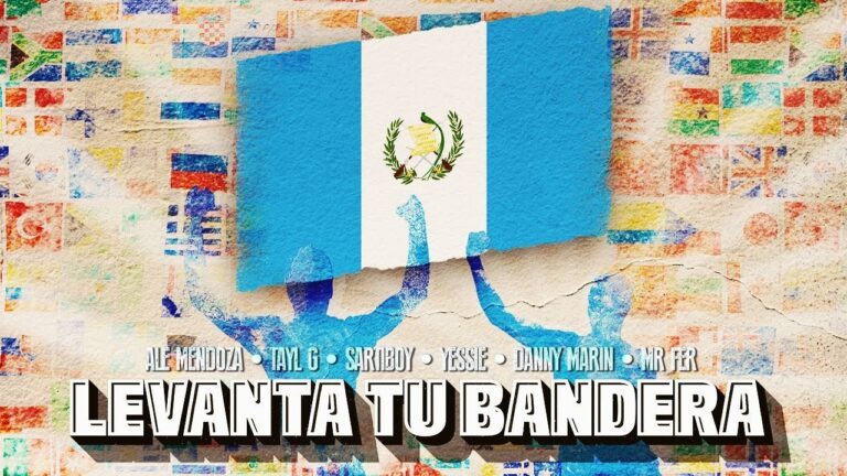 La Belleza de la Bandera de Brasil: Estrellas y Banda