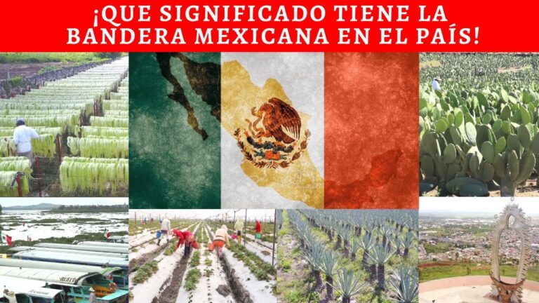 El simbolismo de las banderas en la sociedad
