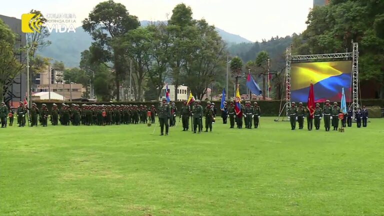 Banderas y su Influencia en la Moral Militar
