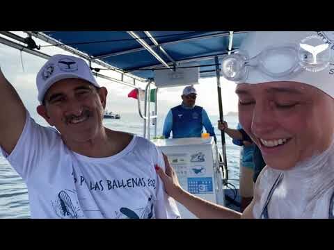 Valent&iacute;a y Determinaci&oacute;n: El Poder de las Banderas
