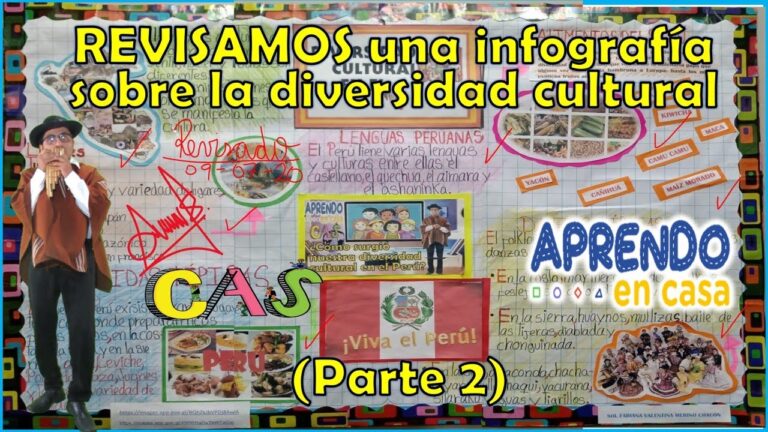Diversidad en los Dise&ntilde;os de Banderas Regionales