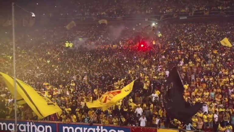 La Bandera del Borussia Dortmund: S&iacute;mbolo de Orgullo y Pasi&oacute;n