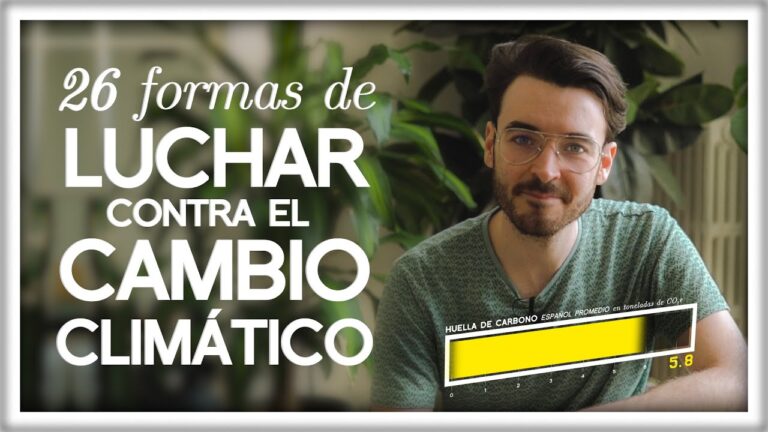 Inicio