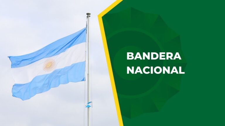 La Bandera: S&iacute;mbolo de Unidad en el Combate