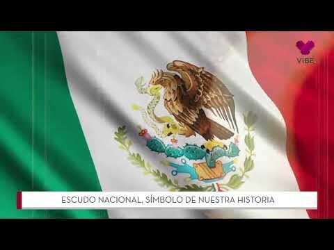 Bandera y Colores: Espejo de la Identidad