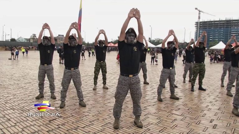 Banderas como Elemento de Identificaci&oacute;n en Combates