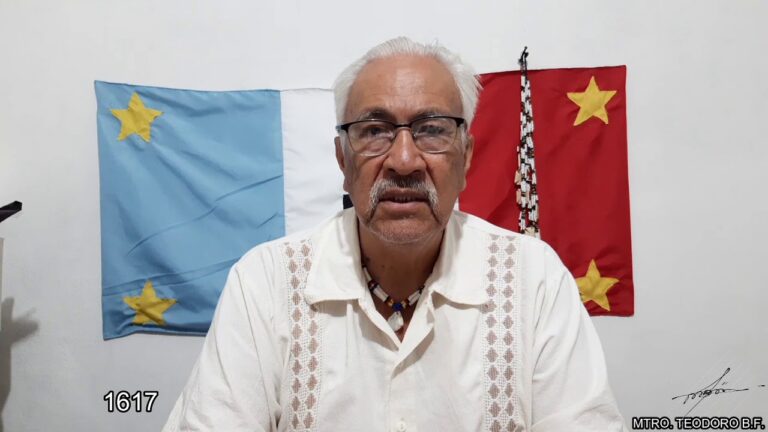 Interpretaci&oacute;n de Banderas en la Lucha: Significados y Estrategias