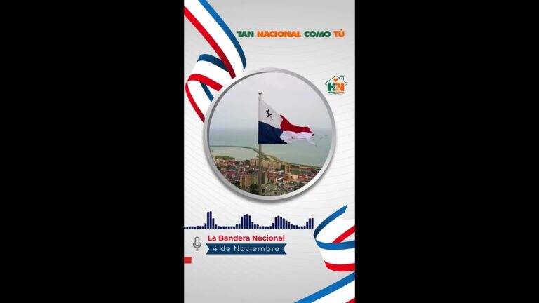 Banderas: Identificaci&oacute;n y Simbolismo en la Guerra