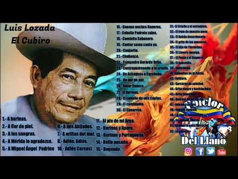 La Inspiraci&oacute;n de las Siete Estrellas en la Bandera de Venezuela