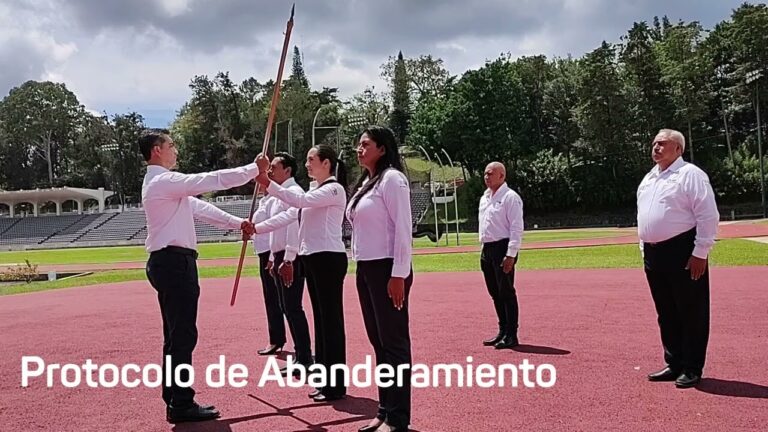 Estrategias de Banderas en Conflictos B&eacute;licos