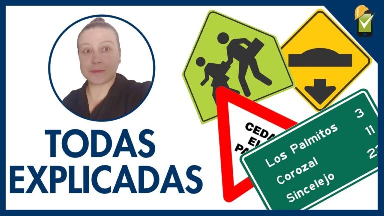 Banderas en la Se&ntilde;alizaci&oacute;n A&eacute;rea: Conceptos Esenciales