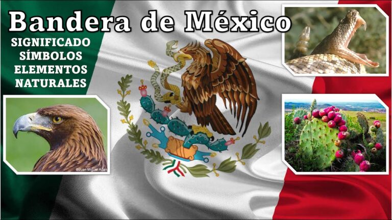 Inicio
